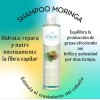 Shampoo Moringa Protector Hidrata Y Repara, Sheló Nabel