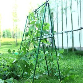 7Queen Cucumber Trellis Garden Trellis Arch Trellis, Tall Metal Trellis for Climbing Plants Support Vegetable Peas Fruit Vine Outdoor A-Frame Trellis (Green)