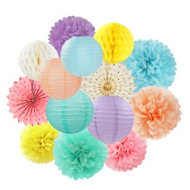 Pastel Rainbow Party Decorations Streamers - 14pcs Boy Girl Kids Birthday Supplies,Pink Yellow Blue Paper Lanterns Fan,Tissue Pom Poms,Honeycomb Balls, Baby Shower Wedding Decor Lasting Surprise