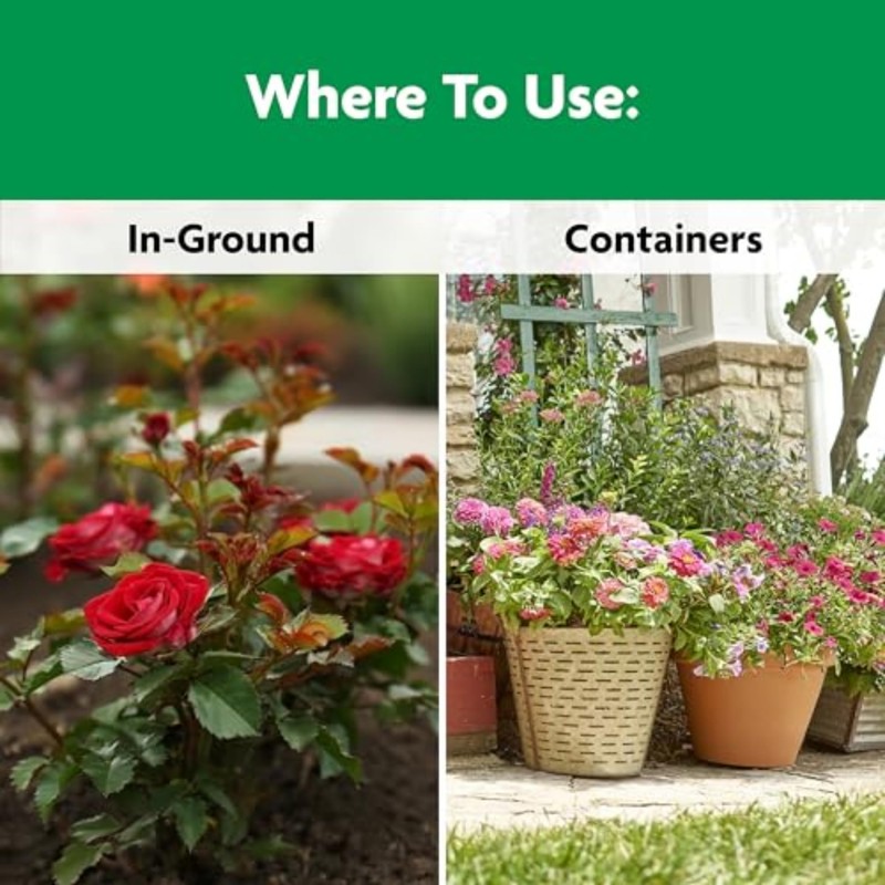 Miracle-Gro Shake 'N Feed Rose & Bloom Plant Food