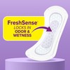 Poise Daily Liners, Incontinence Panty Liners for Bladder Leaks, 2