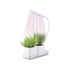 PEARL Mini Growing & Propagation Station, 2 Pots Grow LEDs & Water Tank