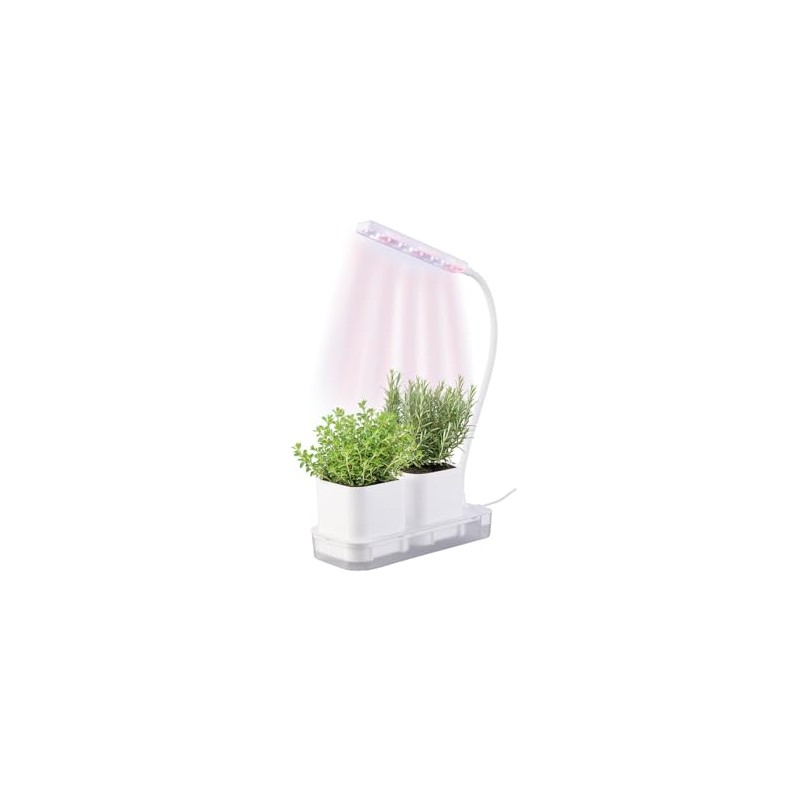 PEARL Mini Growing & Propagation Station, 2 Pots Grow LEDs