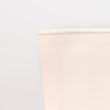 Meri Meri Ballet Slipper Pink Tumbler Cups (Pack of 8)