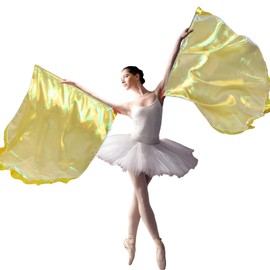 Remagr 2 Set Gold Double Layer Praise Dance Worship Flags with Scalable Rod Semicircle Worship Angel Wing Flag for Church Dance Banner