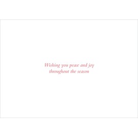 Tidings of Joy Deluxe Boxed Holiday Cards: Christmas Cards, Greeting Cards