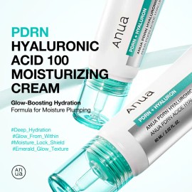 Anua PDRN Hyaluronic Acid 100 Moisturizing Cream 60ml – Lightweight Korean Skincare for Hydration, Glow & Collagen Support