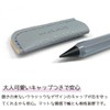 Sunstar Stationery Metal Pencil, 2H Hardness, Metasil Pocket, Black S5019800