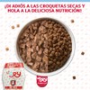 VORY Aderezo para Croquetas de Perro - Vitaminas y Probióticos