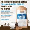 Grand Teton Ancient Grains - 100% Organic Einkorn Berries, Premium