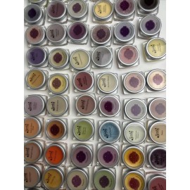 Scentsy Testers (10 Random Testers) Assorted Scents Mini Samples Testers