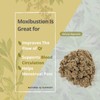 GinSen 10 Roll Pure Moxa Sticks for Moxibustion Therapy (Medical