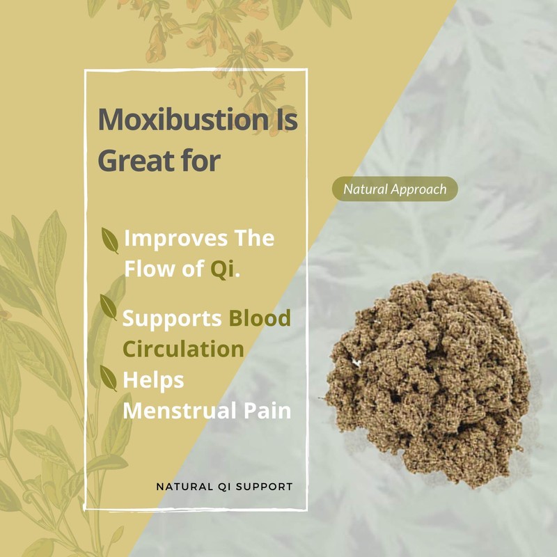 GinSen 10 Roll Pure Moxa Sticks for Moxibustion Therapy (Medical