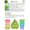 Angelbean Mulberry Leaf Tea Organic Kyoto Organic JAS Elegant Roasting