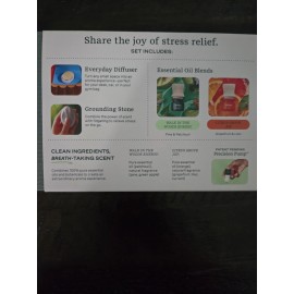 Lifelines Sensory Immersion Set-Grounding Stone Fidget & Essential Oil Diffuser