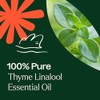 Plant Therapy | Aceite Esencial de Tomillo | 10 mL |