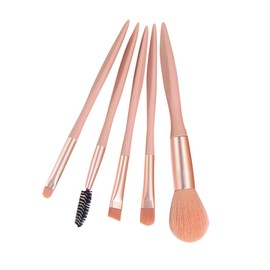 Mikinona Makeup Brush Set for Women Keychain Portable Large Brush Set 5pcs Face Makeup Brush Set Beauty Tools