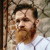 ZEUS Natural Beard Oil for Men with Essential Oils (Sandalwood)
