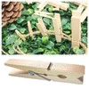 Wooden Wood Pinch Clips (Natural x 7.2cm x 24pcs) Delivery