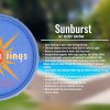 Solar Sun Rings Pool Cover | Sunburst Design | SSRA-SB-02