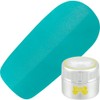 ri-hujeru (leafgel) Premium 4-Colored Gels 030 emuro-do・pura-zyu G