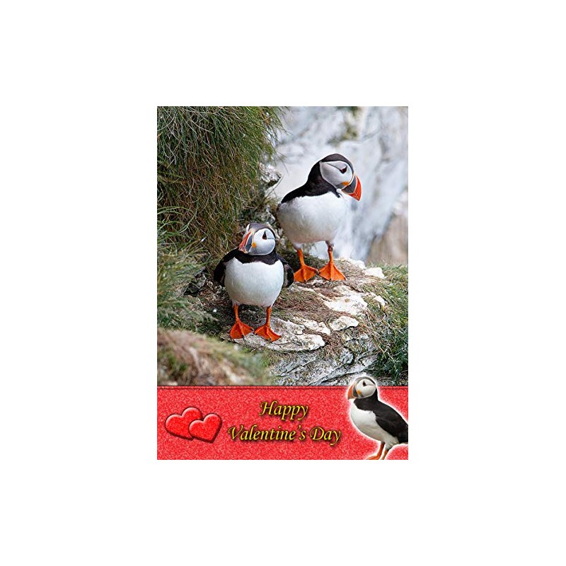 Puffin Animal Valentines Day Card