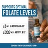 L Methyl Folate 15mg Plus Methyl B12 Cofactor – Organic