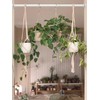 1 Piece Stainless Steel Curtain Rod Without Drilling, Adjustable Telescopic