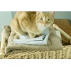 Purecosheet - Reusable Dryer Sheets | Cost effective (500+ loads),