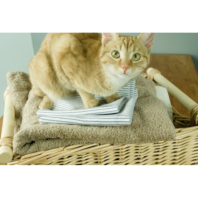 Purecosheet - Reusable Dryer Sheets | Cost effective (500+ loads),
