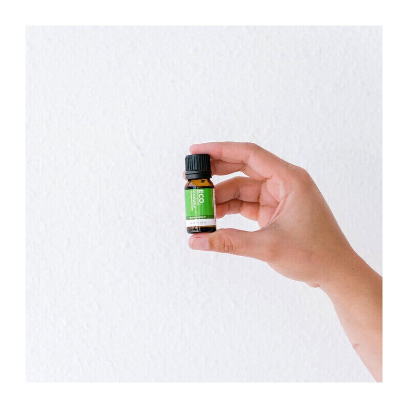 ECO. Modern Essentials Eucalyptus Pure Essential Oil, 10ml