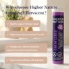 Higher Nature Immune Effervescent - Blackcurrant and Elderberry, 20 Tablets