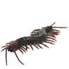 Realistic Centipede Toy