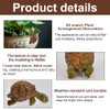 Turtle Statue Tortoise Figurine Plant Pot Hanger, Mini Climbing Turtle