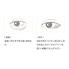 Etude Official Contour Powder Eyeshadow Brush/Shading
