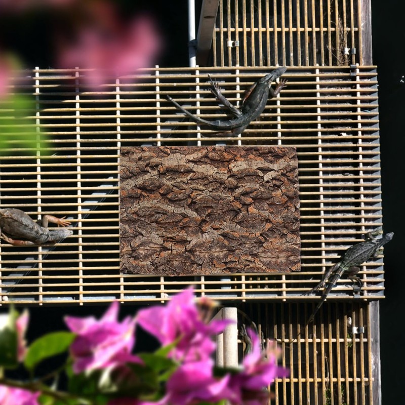 Angoily Cork Bark for Reptiles, Natural Bark for Bearded Lizard