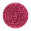 Fancy Pets Expert Grooming Goma Limpiadora de Pelo para Perro