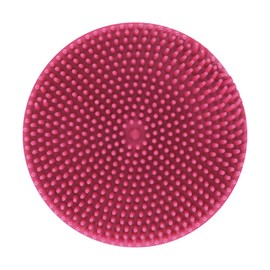 Fancy Pets Expert Grooming Goma Limpiadora de Pelo para Perro