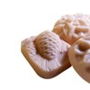 5pc Set Vanilla Almond Scented Guest Soaps - Pinecone and