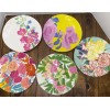 Anthropologie Paint + Petals Bridgette Thornton Melamine 5 Floral Dinner