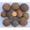 Moqui Marbles - Sandstone/Iron Concretions - 1 Pound Lot