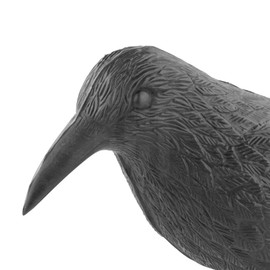 KCT Crow Decoy Full Bodied Realistic Hunting Prop and Bird Scarer Plastic Decoy Crow