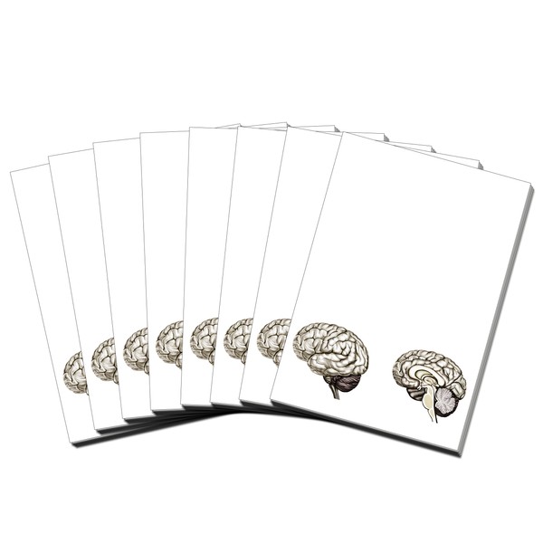 Brain Note Pad-memo Pad-notebook-100sheets-8pc in One Package