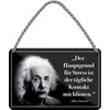 WOGEKA ART Retro Blechschild - Albert Einstein Hauptgrund für Stress