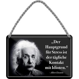 WOGEKA ART Retro Blechschild - Albert Einstein Hauptgrund für Stress sind Idioten - witziger Spruch Geschenk-Idee Geburtstag Weihnachten Dekoration 18x12 cm Vintage-Design Hänge-Schild HS464