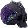 Nemesis Now Cave Small Dragon Hiding Within a Crystal Skull,