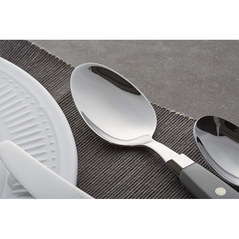 Annova Cutlery Set 20 Pieces Stainless Steel Color Handle with