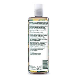 Faith in Nature Vegan Shampoo for Damaged Hair 13.53 Fl Oz Natural Hydration Normal to Dry Hair