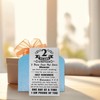 Richesele 2 Years AA Sobriety Gifts - Two Years Stronger