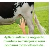 Balsamo Blanco Y Pomada Para Golpes Ubresol